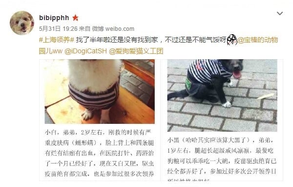 Screenshot_11