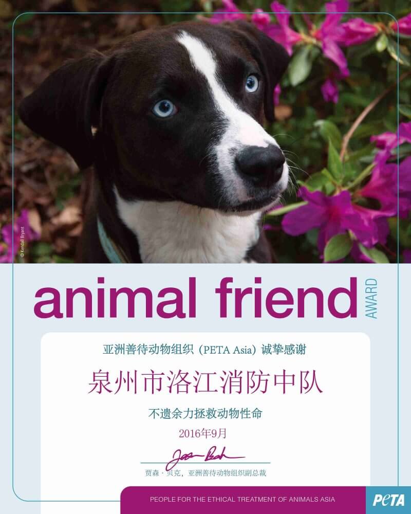PAP_Animal Friend Award_Dog_Editable_300