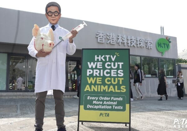 PETA致信反駁王維基，指現今尖端科技可取代頭身分離動物實驗
